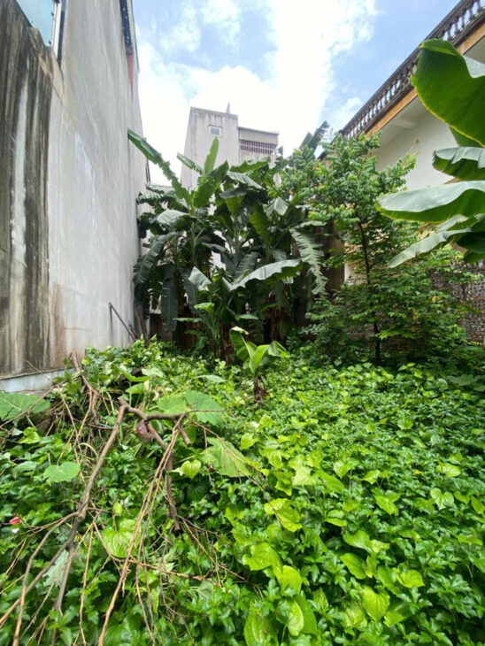 CẦN BÁN GẤP LÔ ĐẤT ĐẸP TẠI THẠCH CẦU – LONG BIÊN 104m giá 8,7 ty oto,KD