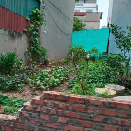 ĐẤT TẶNG NHÀ CẤP 4, MẶT TIỀN 5.6M, GIÁ 2.95 TỶ TẠI PHÚC LỢI, LONG BIÊN