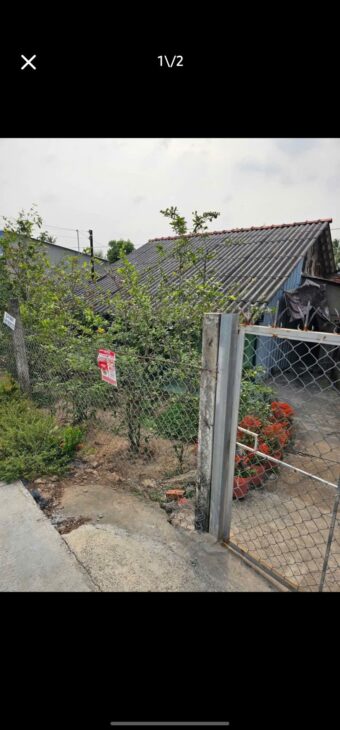 GIÁ TỐT – CHÍNH CHỦ Cần Bán Nhanh 500m2 Đất Vườn Tân Hạnh, Huyện Long Hồ, Vĩnh Long