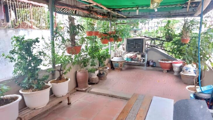 Nhà đẹp mặt phố Hồng Mai 60m x5T, khu dân trí cao, kinh doanh đỉnh. Giá 17.6 tỷ