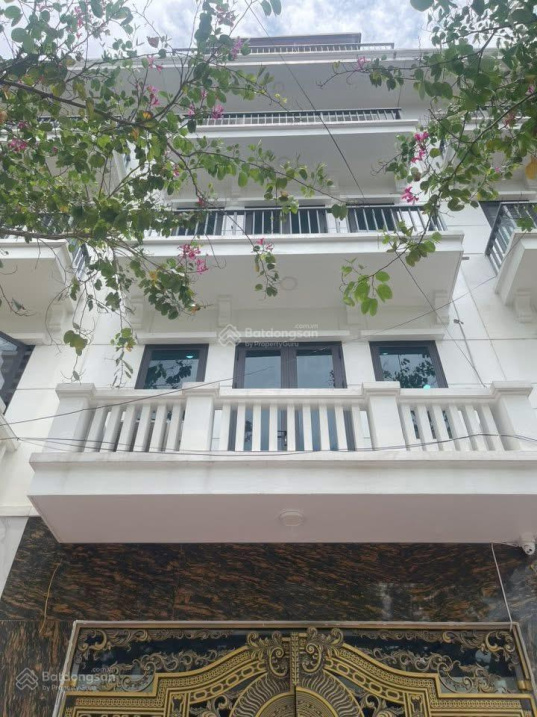 Mặt phố Nguyễn Sơn Hà 48m², phân lô, vỉa hè– Kinh doanh đỉnh – 14,5 tỷ