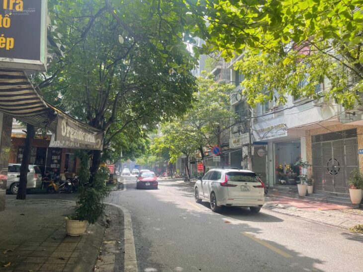 Mặt phố Nguyễn Sơn Hà 48m², phân lô, vỉa hè– Kinh doanh đỉnh – 14,5 tỷ