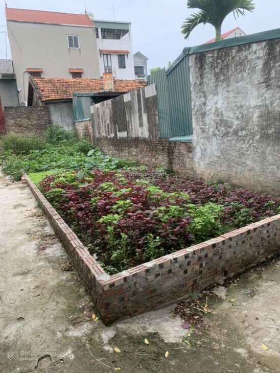 ĐẤT ĐẸP ĐỨC THƯỢNG 55m CHỈ 2,9 TỶ – NHỎ TIỀN DỄ CHỐT – HIẾM TRONG TẦM GIÁ – 15M Ô TÔ TẢI ĐỖ CỬA.