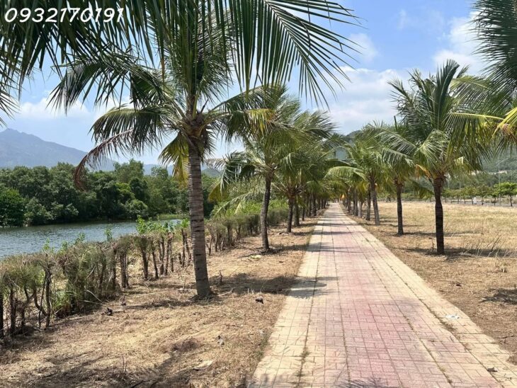20 triệu/m2 GIÁ CỰC TỐT để đầu tư 1 lô đất tại KĐT Ven Sông Tắc- Liên Hệ: 0932170191 (Ms Ngân)