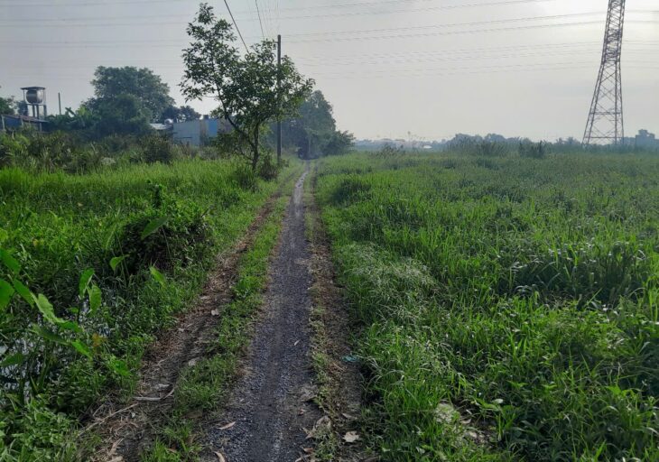 2592m2 có 26 tỷ x Nguyễn Thị Điệp Đông Thạnh Hóc Môn TP. Hồ Chí Minh