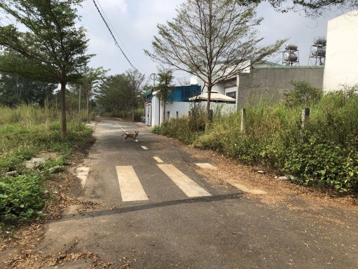 118m2 thổ cư 1 sẹc Nguyễn Hoàng, xã Trảng Bom, tỉnh ĐN 950 triệu