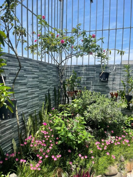 BÁN CĂN HỘ CC PENTHOUSE 3 NGỦ, 120M², Q. HOÀNG MAI – GIÁ CHỈ 4 TỶ X – SỔ ĐỎ ĐẸP