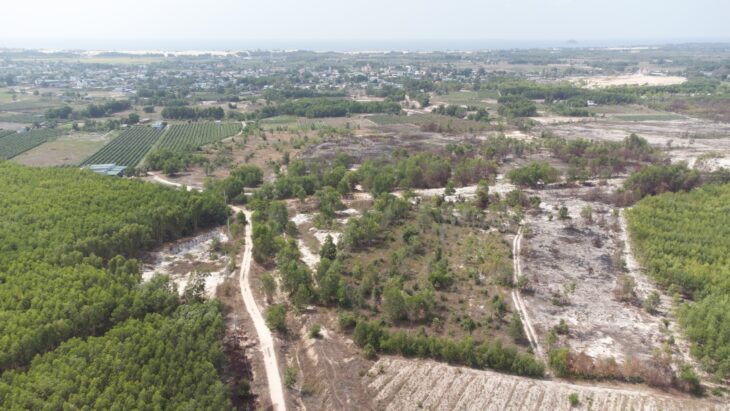 Bán 5.3 sào đất Tân Tiến – TX LaGi đường 10m chỉ 500tr/ sào