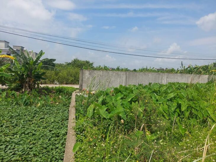 BÁN LÔ ĐẤT VÀNG TRUNG TÂM PHÚ HỮU – NGAY KHU CÔNG NGHỆ CAO – MẶT TIỀN 7M