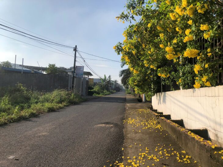 Bán mặt chính kinh doanh Bình Minh Quảng Tiến