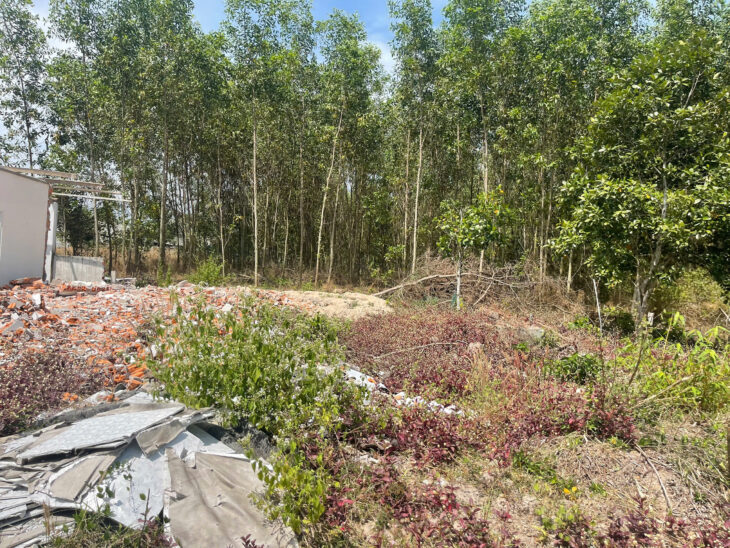 Bán 15m x 12m đất thổ cư Tân An, thị xã LaGi giá ngộp chỉ 1.2 tỷ