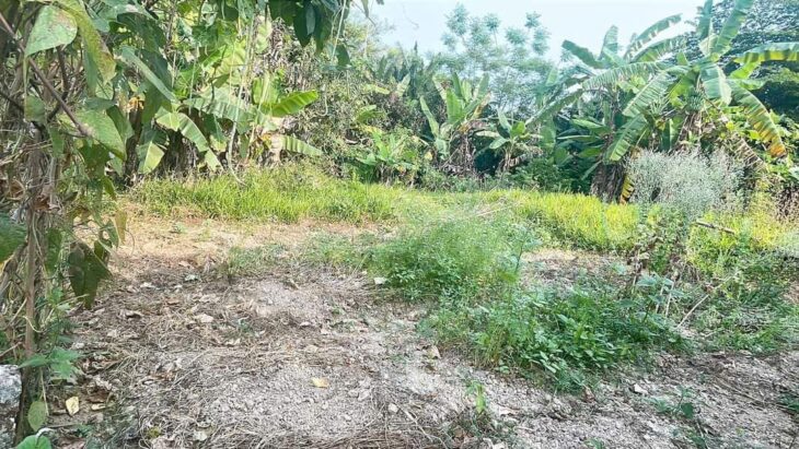 ĐẤT ĐẸP – GIÁ ĐẦU TƯ –CẦN BÁN LÔ ĐẤT Tại Đường 605, Xã Điện Hồng, Thị xã Điện Bàn, Quảng Nam