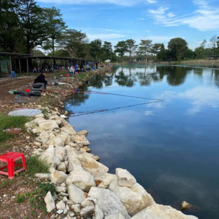 Đồng Nai ! Sang nhượng lại hồ câu cá giải trí đang hoạt động bình thường, có sẵn lượng khách quen. Đồng Nai ! Sang nhượng lại hồ câu cá giải trí đang hoạt động bình thường, có sẵn lượng khách quen.