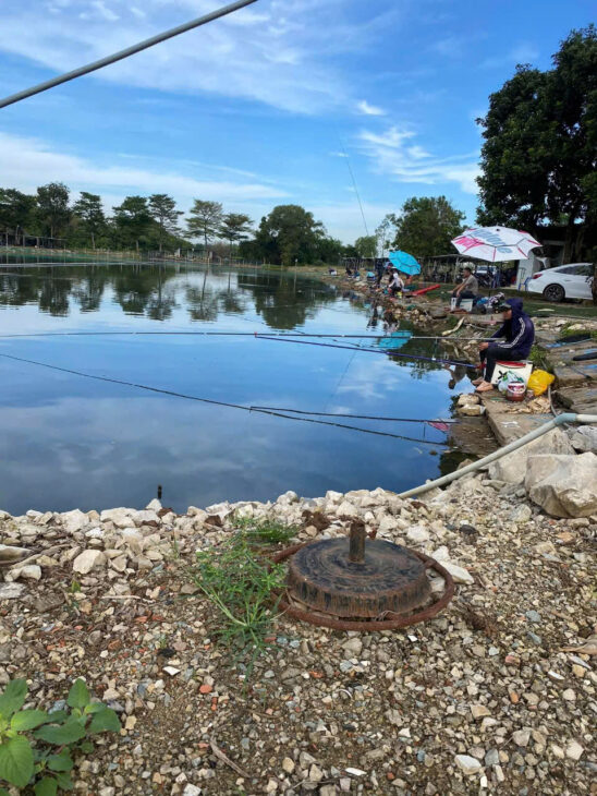Đồng Nai ! Sang nhượng lại hồ câu cá giải trí đang hoạt động bình thường, có sẵn lượng khách quen.