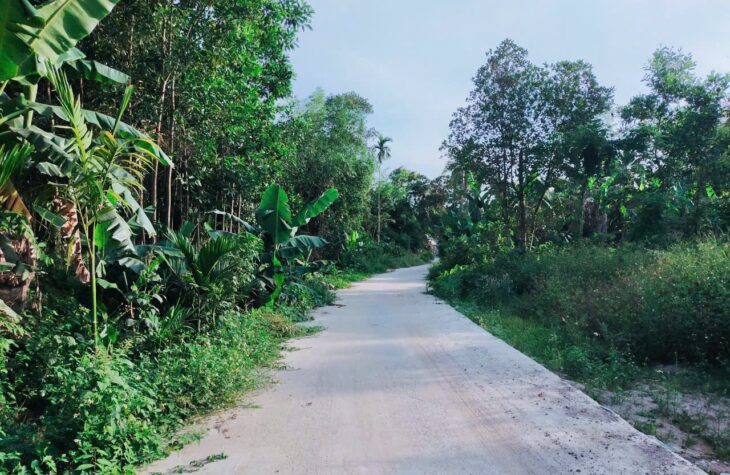 CHÍNH CHỦ Cần Bán Lô Đất Tại Thôn Hòa Thọ, Xã Hòa Phú, Hòa Vang, TP Đà nẵng.