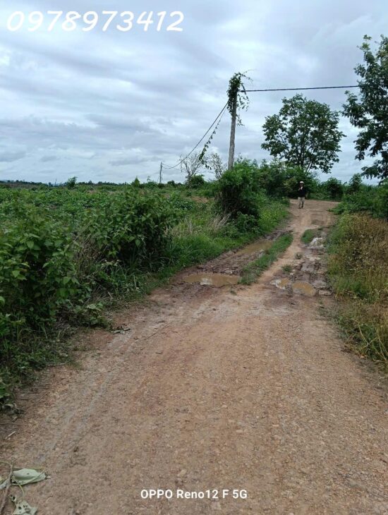 Đất Sào Xã Eapo đường bao quanh lô đất-Giá cực kỳ tốt cho nhà đầu tư-Liên hệ chính chủ: 0978973412
