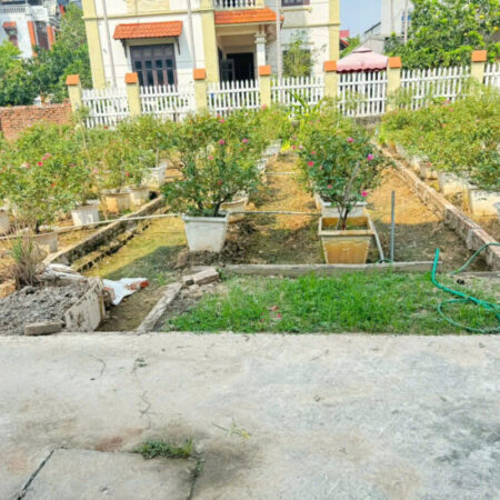 Bán đất Thôn Trung Hậu Đoài, Tiền Phong, Mê Linh – Sổ đỏ chính chủ, vị trí đắc địa