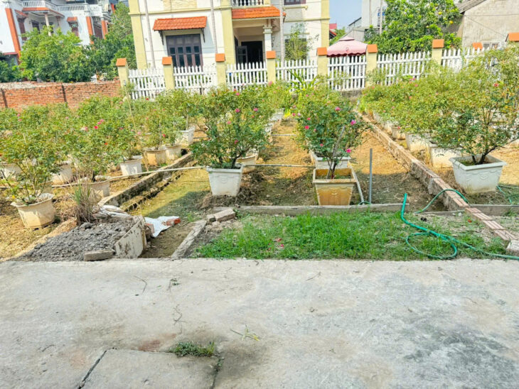 Bán đất Thôn Trung Hậu Đoài, Tiền Phong, Mê Linh – Sổ đỏ chính chủ, vị trí đắc địa