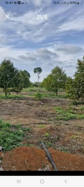 ĐẤT CHÍNH CHỦ – GIÁ TỐT – Cần Bán Nhanh Lô Đất Xã Mỹ Đức Đông, Cái Bè, Tiền Giang