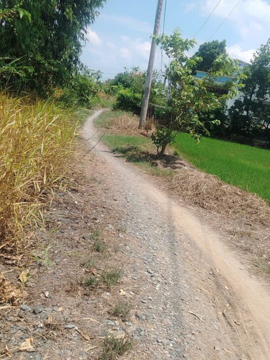 ĐẤT CHÍNH CHỦ – GIÁ TỐT – Cần Bán Đất Xã Phước Trung, Gò Công Đông Tiền Giang