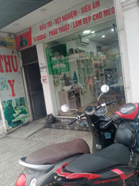 Bán nhà mặt tiền Lê Đức Thọ, P17 Gò Vấp – diện tích 123m² – kinh doanh đa ngành – giá nhỉnh 16 tỷ