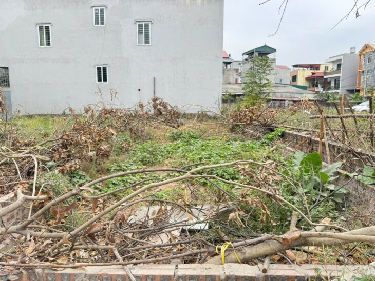 Bán Đất Vị Trí Vàng – Tổ Dân Phố 9, Thị Trấn Quang Minh, Mê Linh, Hà Nội