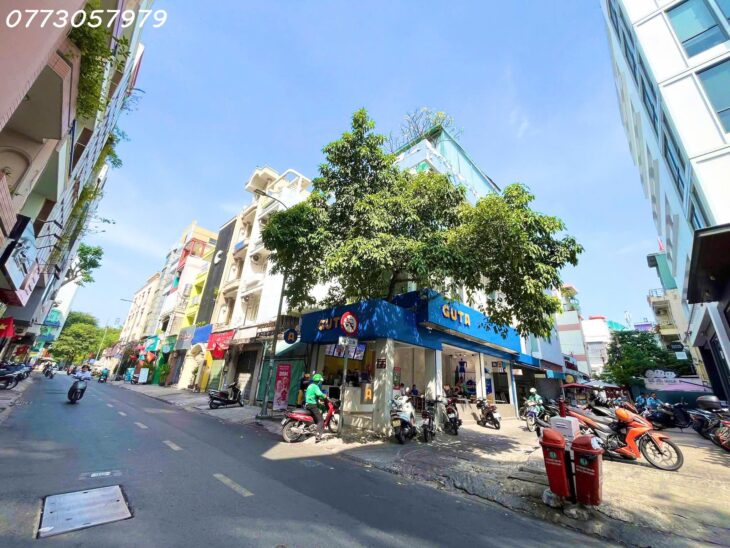 BÁN NHÀ GÓC 2MT NGUYỄN VĂN THỦ, ĐAKAO, Q1