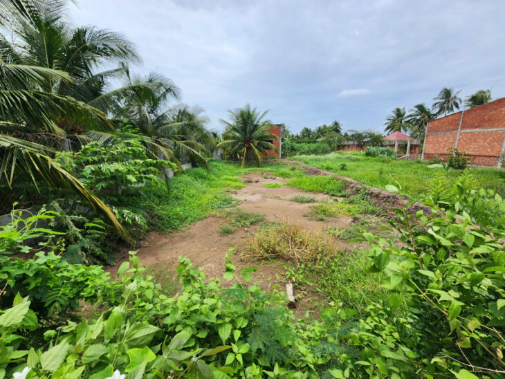 Bán Đất Mỹ Tho 5x31m CLN Đường oto DH90C vô 100m Giá 4xx triệu