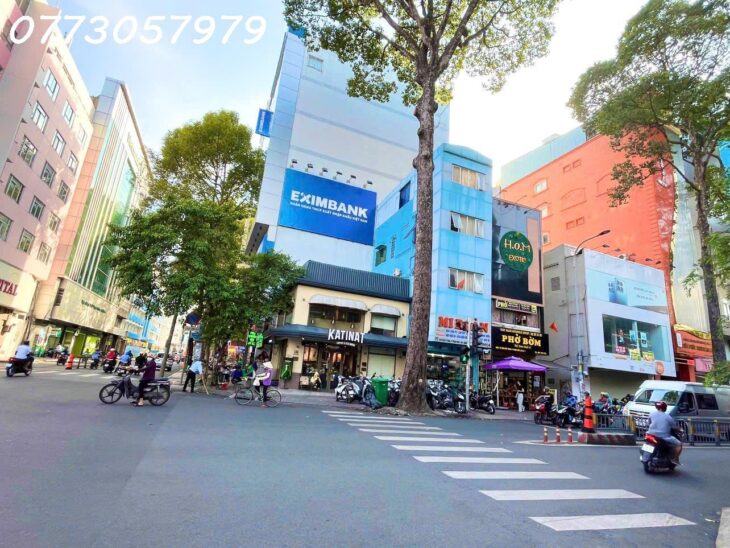 Bán Nhà Góc 2 Mặt Tiền – 7B-7C Tôn Thất Tùng, P. Phạm Ngũ Lão, Quận 1