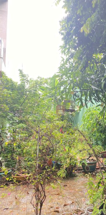 ĐẤT ĐẸP – GIÁ TỐT – CẦN BÁN NHANH LÔ ĐẤT ĐẸP Tại Phường Khê Mỹ, Quận Ngũ Hành Sơn, TP. Đà Nẵng.