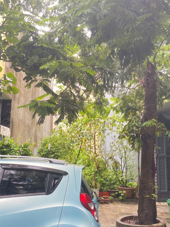 ĐẤT ĐẸP – GIÁ TỐT – CẦN BÁN NHANH LÔ ĐẤT ĐẸP Tại Phường Khê Mỹ, Quận Ngũ Hành Sơn, TP. Đà Nẵng.