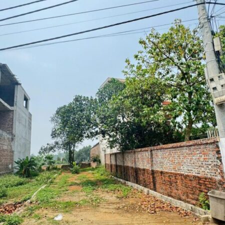 Mảnh đất Trại Hồ Cổ Đông chỉ dành cho nhà đầu tư đường thông rộng 109m nhỉnh 3ty Mảnh đất Trại Hồ Cổ Đông chỉ dành cho nhà đầu tư đường thông rộng 109m nhỉnh 3ty