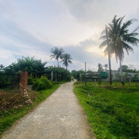 Bán 1525m2 đất Tân Phước – TX LaGi gần Biển giá mềm 4.9tr/m2 sổ riêng Bán 1525m2 đất Tân Phước – TX LaGi gần Biển giá mềm 4.9tr/m2 sổ riêng