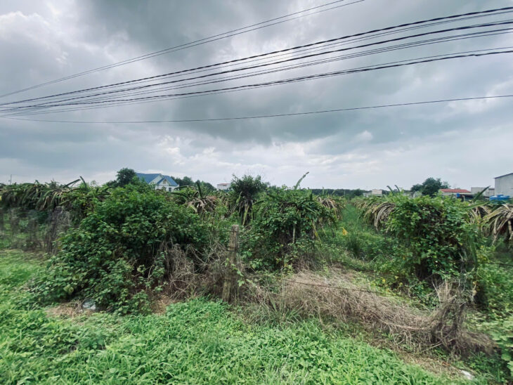 Bán 1000m2 đất ODT Tân Bình – TX LaGi giảm 50% chỉ 1.3 tỷ gần Biển