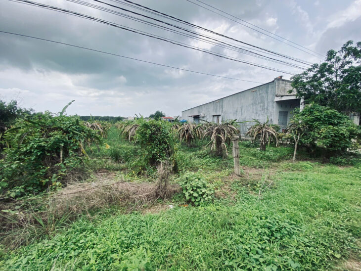 Bán 1000m2 đất ODT Tân Bình – TX LaGi giảm 50% chỉ 1.3 tỷ gần Biển