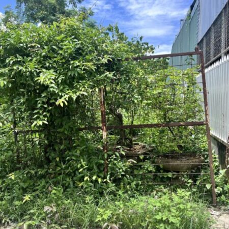 SIÊU RẺ – LÔ ĐẤT KIỆT 5M ĐƯỜNG ĐÀ SƠN 2 – 120m², GIÁ CHỈ 2,25 TỶ! SIÊU RẺ – LÔ ĐẤT KIỆT 5M ĐƯỜNG ĐÀ SƠN 2 – 120m², GIÁ CHỈ 2,25 TỶ!