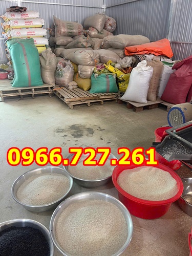 Máy xay xát gạo liên hoàn 3 pha kèm gầu tải Takyo TK1100