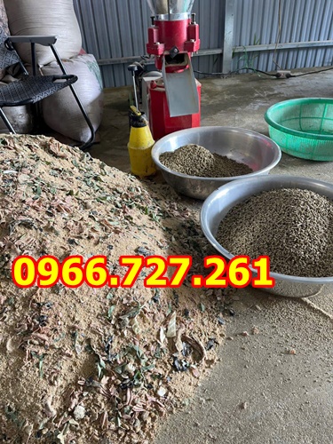 Máy xay xát gạo liên hoàn 3 pha kèm gầu tải Takyo TK1100