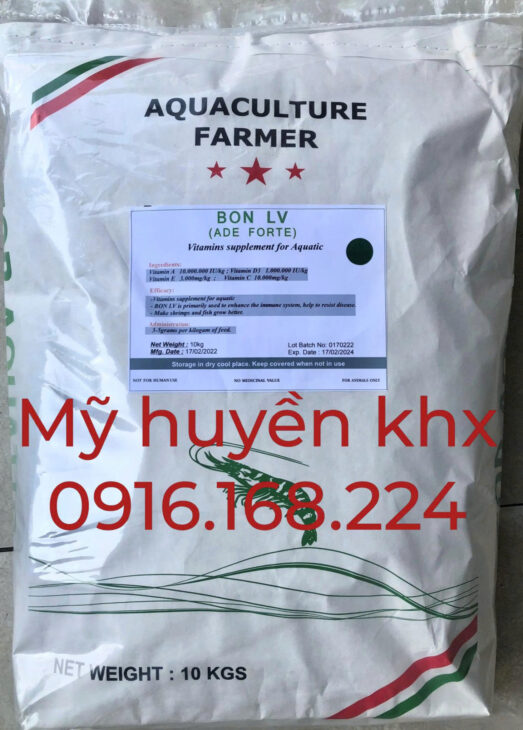 TÔM YẾU, CHẬM LỚN? DÙNG NGAY BON LV (ADE)!