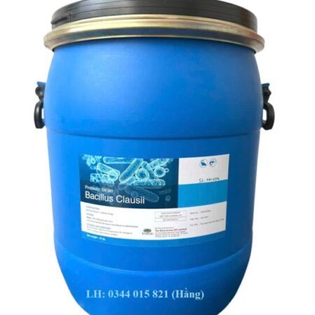 Men vi sinh Bacillus Clausii, cân bằng đường ruột cho tôm cá