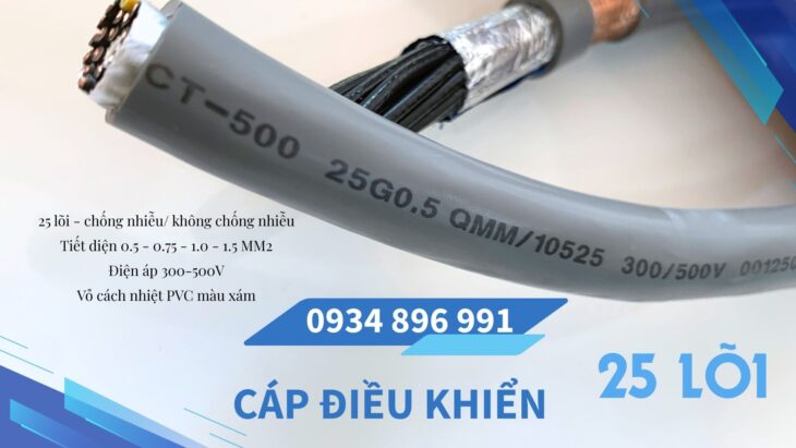 Cáp Tín Hiệu 25X 1.0 mm2 Dùng Trong Hệ Thống Điều Khiển Quy Nhơn, Bình Định, Gia Lai