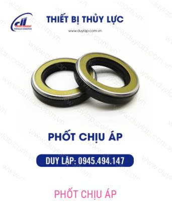 Phốt ben thuỷ lực Duy Lập