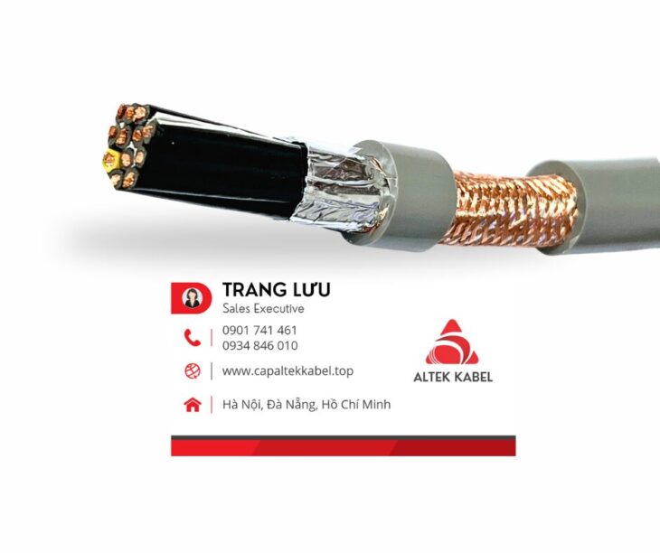 Trang Avatar - Đà Nẵng Today