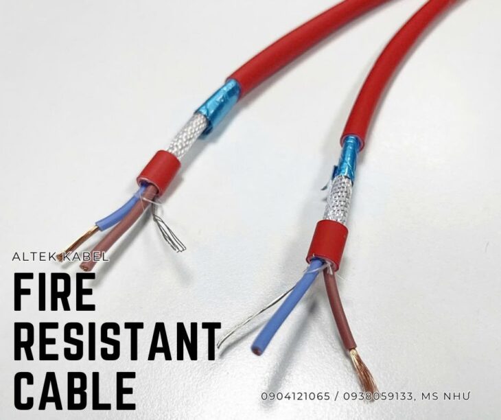 Tuệ Như Avatar - Đà Nẵng Today