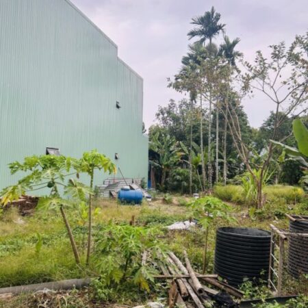 ĐẤT ĐẸP 100m² – Ô TÔ ĐỖ CỬA – GIÁ CHỈ 2,39 TỶ