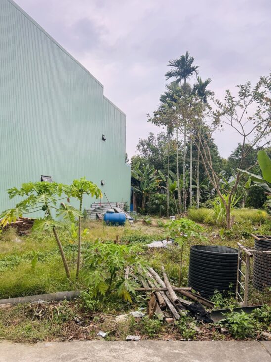ĐẤT ĐẸP 100m² – Ô TÔ ĐỖ CỬA – GIÁ CHỈ 2,39 TỶ