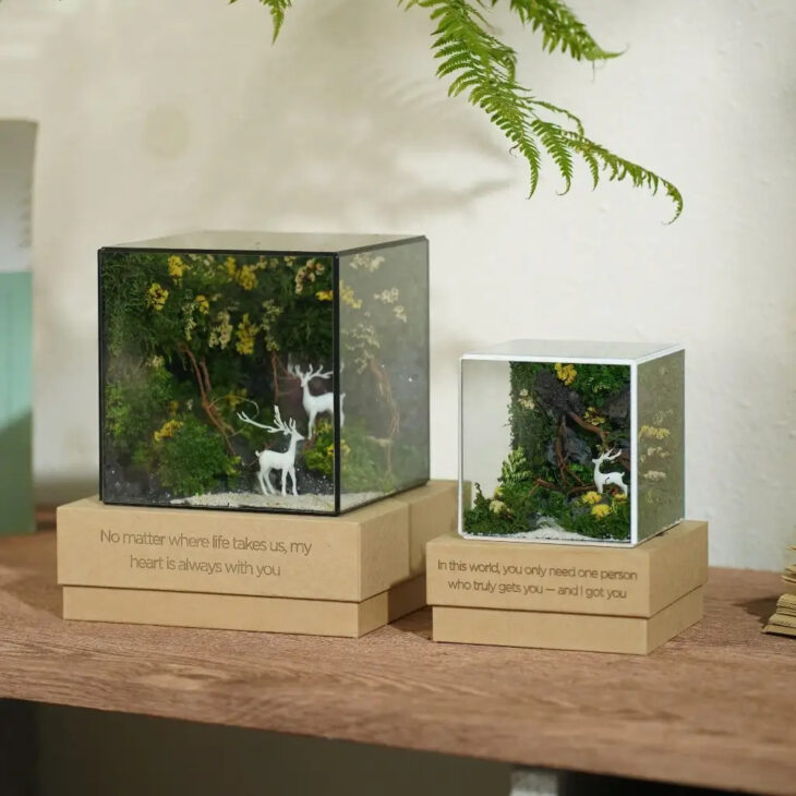 Hộp Rêu Nghệ Thuật Để Bàn JN-QT19 – Đồ Decor Chữa Lành, Quà Tặng Độc Bản Ý Nghĩa tại Đà Nẵng