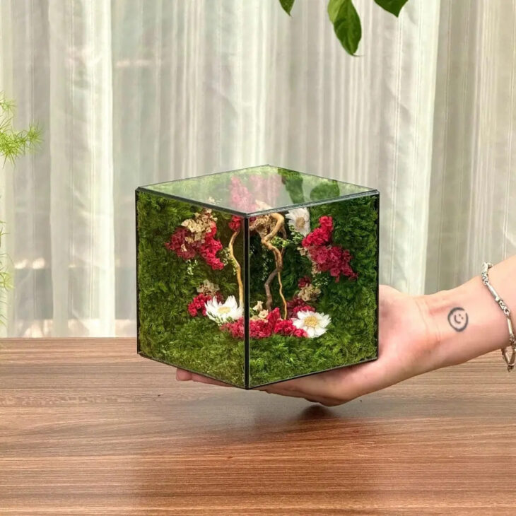 Hộp Rêu Nghệ Thuật Để Bàn JN-QT19 – Đồ Decor Chữa Lành, Quà Tặng Độc Bản Ý Nghĩa tại Đà Nẵng
