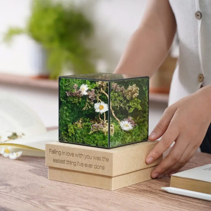 Hộp Rêu Nghệ Thuật Để Bàn JN-QT19 – Đồ Decor Chữa Lành, Quà Tặng Độc Bản Ý Nghĩa tại Đà Nẵng