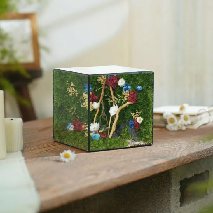 Hộp Rêu Nghệ Thuật Để Bàn JN-QT19 – Đồ Decor Chữa Lành, Quà Tặng Độc Bản Ý Nghĩa tại Đà Nẵng
